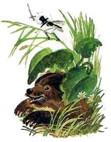 Сказка про Комара Комаровича — длинный нос и мохнатого Мишу — короткий хвост
